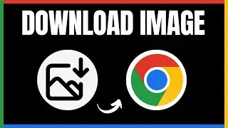 How to Download Pictures from Google Chrome | Step By Step