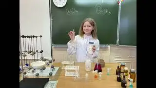 День химика
