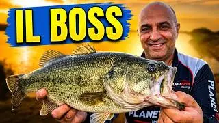 The BOSS of Bassfishing in CAMPANIA