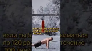 Что будет если отжиматься 120 дней подряд 