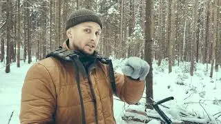 ПиКонь в зимнем лесу, нужна ли лыжа?