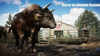 Продолжаем проходить Far Cry 5 (RU/UA) Охота за яйцами быков