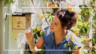 BeeSummer: Nisthilfe für weitere Wildbienenarten