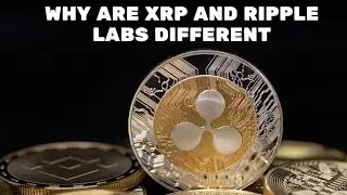 Why are XRP and Ripples labs different