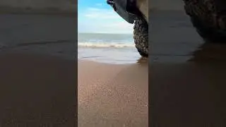 Летний вайб