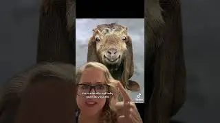 In my next life… wow. I am the GOAT!