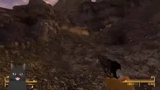 FALLOUT NEW VEGAS!