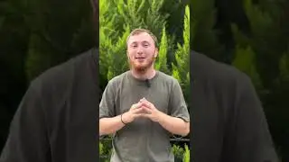 Новая функция Iphone 15