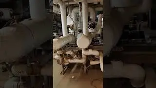 Steam Heat Exchanger