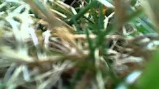 drone flight 1