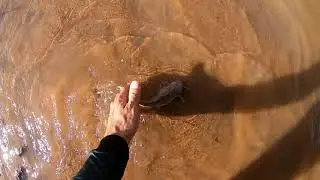 INACREDITÁVEL OQUE ESSE PEIXE FEZ !!!pescaria
