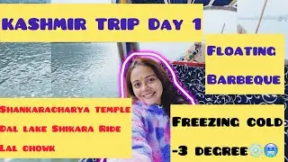 KASHMIR DAY 1| 280 STAIRS Chadke halat kharab BOAT SHOPPING |#travelvlog #devoleenabhattacharjee