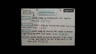 Place of Articulation | Consonant | Articulator Phonetics | English Notes