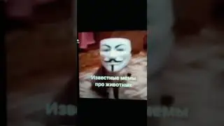 🔥ИЗВЕСТНЫЕ МЕМЫ ПРО ЖИВОТНЫХ🔥
