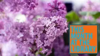 This Month at the Library: May 2023