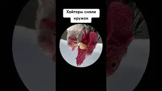 Хейи