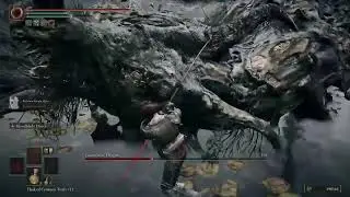 Elden Ring DLC Shenanigans