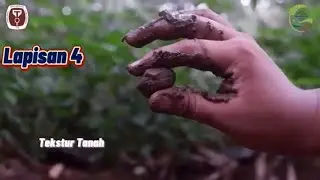 Video Soil Judging Contest
