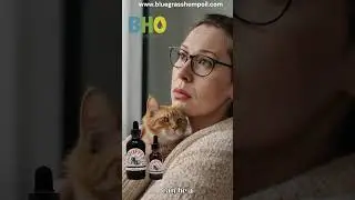 Best CBD for Pet Anxiety | CBD Oil for Pets Best CBD Products