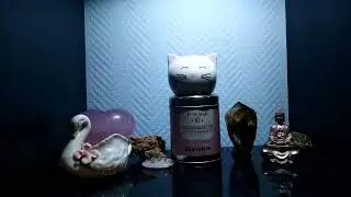 L'ART DE LA MÉDITATION