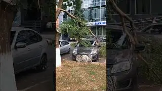 Поехал смотреть монету 
