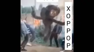 Чебурашка EXE