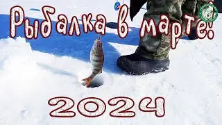 ПОЛОВИЛИ ЗАЧЁТНОГО ОКУНЯ НА ЖЕРЛИЦЫ И УДОЧКИ, ЧЕБАК НА МОРМЫШКУ НА ТОБОЛЕ, БОНУСОМ СУДАК НА ЖЕРЛИЦУ!