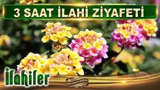 3 Saat İlahi ziyafeti / Canımda can Efendim / Karışık seçme İlahiler
