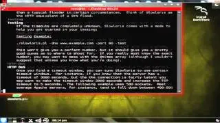 BackTrack 5 R2 Comment faire crasher un site web avec Slowloris