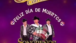 Sonoreños del compa Tico En vivo en las chicoteadas