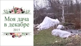 Моя дача в декабре, уже без снега.