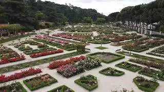 Most Beautiful Rose e Garden in Spain ! The Rosaleda in Madrid, Spain