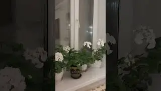 12 марта 2024 г.