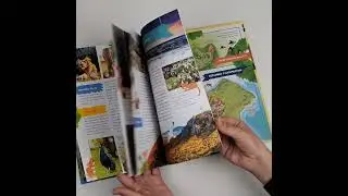 Листалка книги 