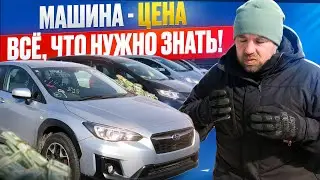 Car price, everything you need to know! Japanese cars from Tokidoki.