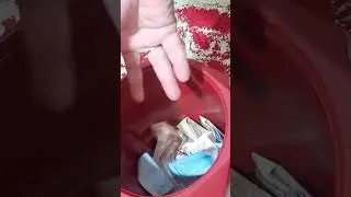 Les ordures se sont transformées en 💸💰,الزبل تحول إلى فلوس 💸💰
