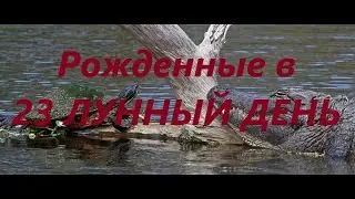 Рожденные в 23 лунный день. Люди 4 фазы Луны