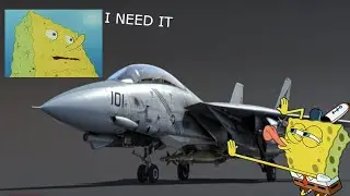 F-14B grind is real💀