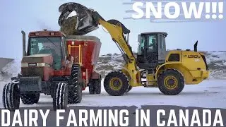 Back To Farming In Canada With A Big Dump Of Snow!