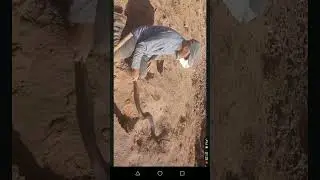 مروض الثعابين المغربي@