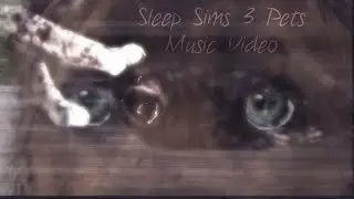 Sleep S3PMV