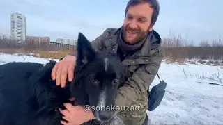 Найдон встретил своего хозяина и уехал из приюта «Щербинка» домой! Проект помощи 