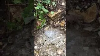 Doğal su yeraltı kaynağı-Pınar-en güzel su-doğal kaynak su