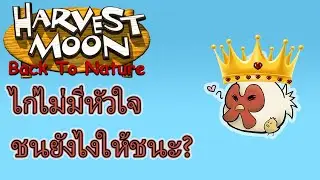 Harvest moon back to nature : เทศกาลฤดูร้อน l ชนไก่ไม่มีหัวใจอย่างไรให้ชนะ?