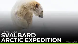 TRIP REPORT | Svalbard Arctic Expedition May 2023