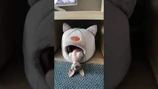 😂 КОГДА НА УЛИЦЕ +35 😂