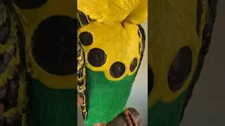Show budgie aculpture #budgie #periquito #viral aviable for sale only one unit ✨ #budgies