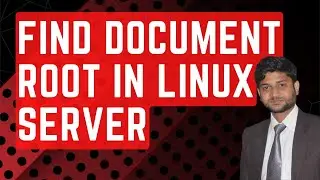 How to find the DocumentRoot of Websites in a Linux Server