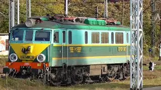 🚉 PKP Wrocław Główny - MIX Pociągów Październik 2024