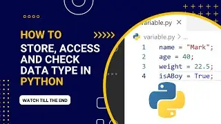 Mastering Python Data Types: Efficient Storage, Easy Access, and Type Checking